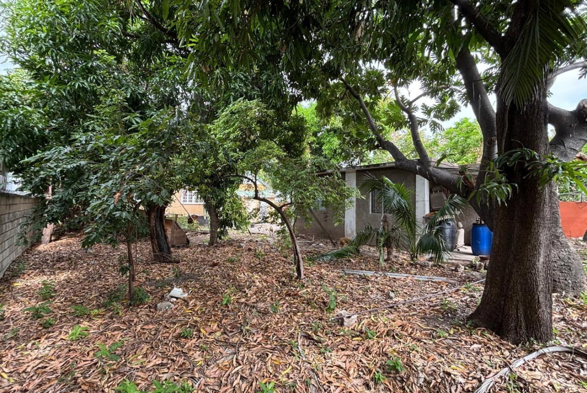 Twenty-Eighth image of 10 Queens Avenue in Kingston 10, St. Andrew, Jamaica - property is For Sale