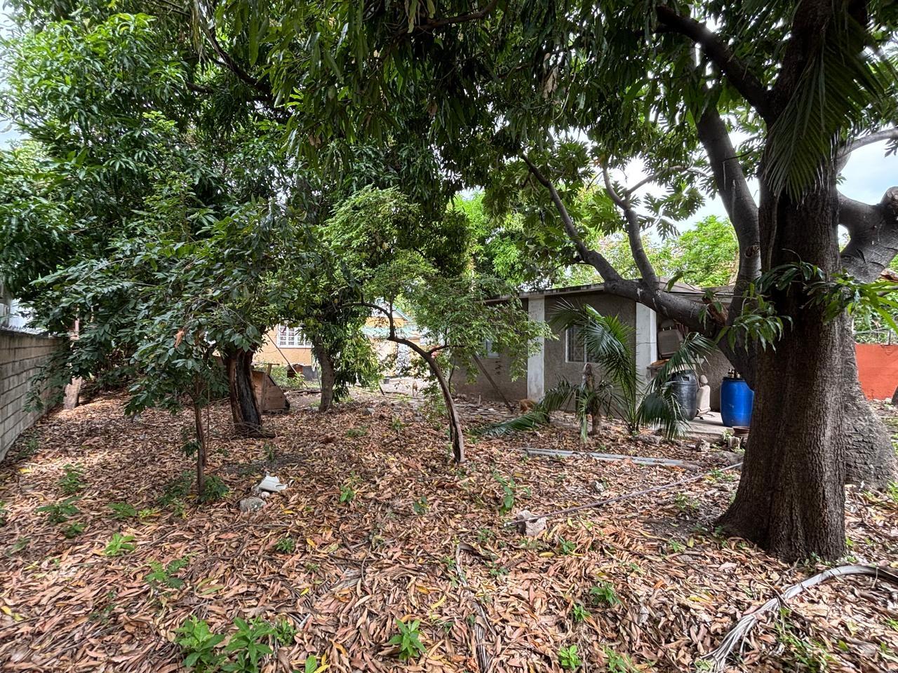 Twenty-Eighth image of 10 Queens Avenue in Kingston 10, St. Andrew, Jamaica - property is For Sale