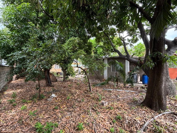 Twenty-Eighth image of 10 Queens Avenue in Kingston 10, St. Andrew, Jamaica - property is For Sale