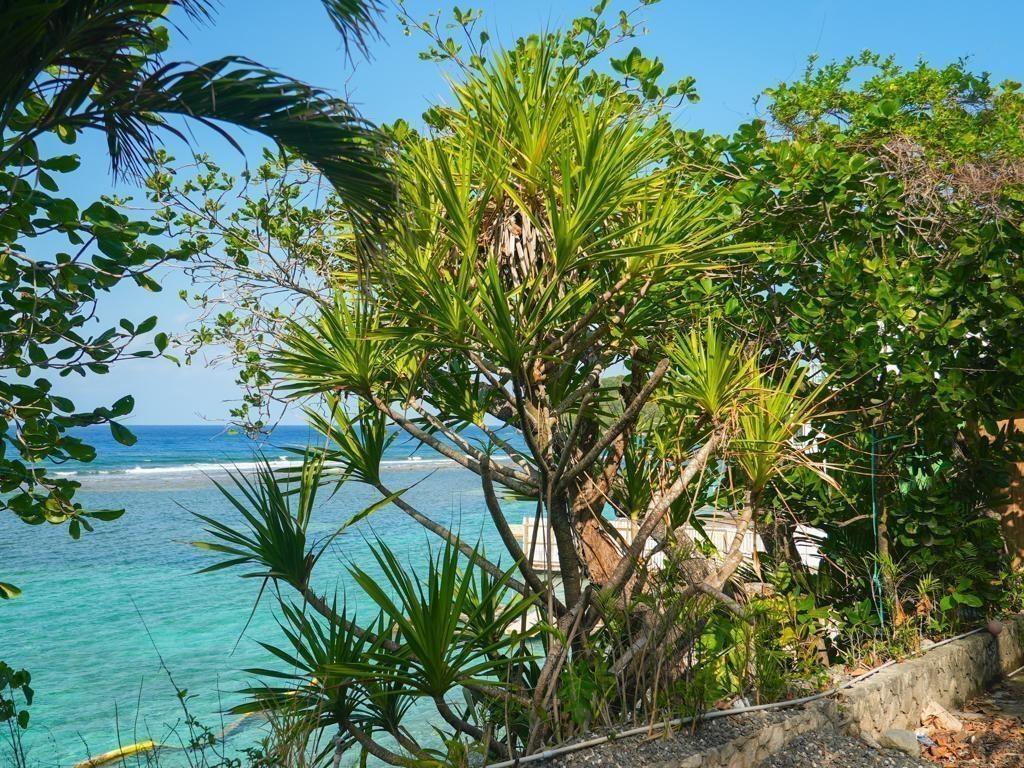 Fourth image of 41 San San in SAN SAN, Portland, Jamaica - property is For Sale