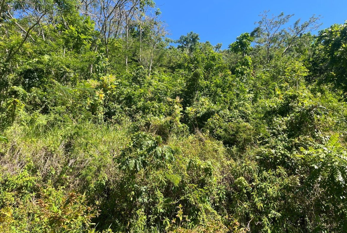 Second image of 4 Woodland Heights, in Red Hills, St. Andrew, Jamaica - property is For Sale