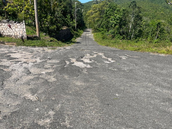 Eleventh image of 4 Woodland Heights, in Red Hills, St. Andrew, Jamaica - property is For Sale