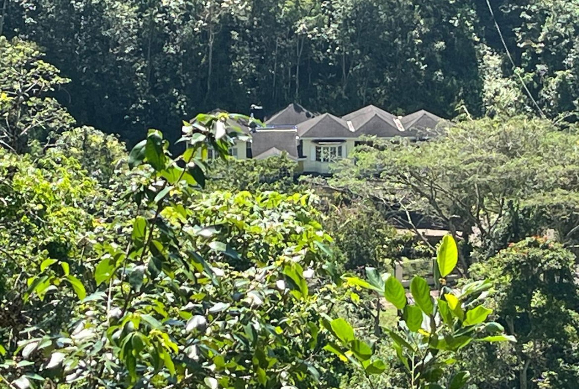 Thirteenth image of 4 Woodland Heights, in Red Hills, St. Andrew, Jamaica - property is For Sale