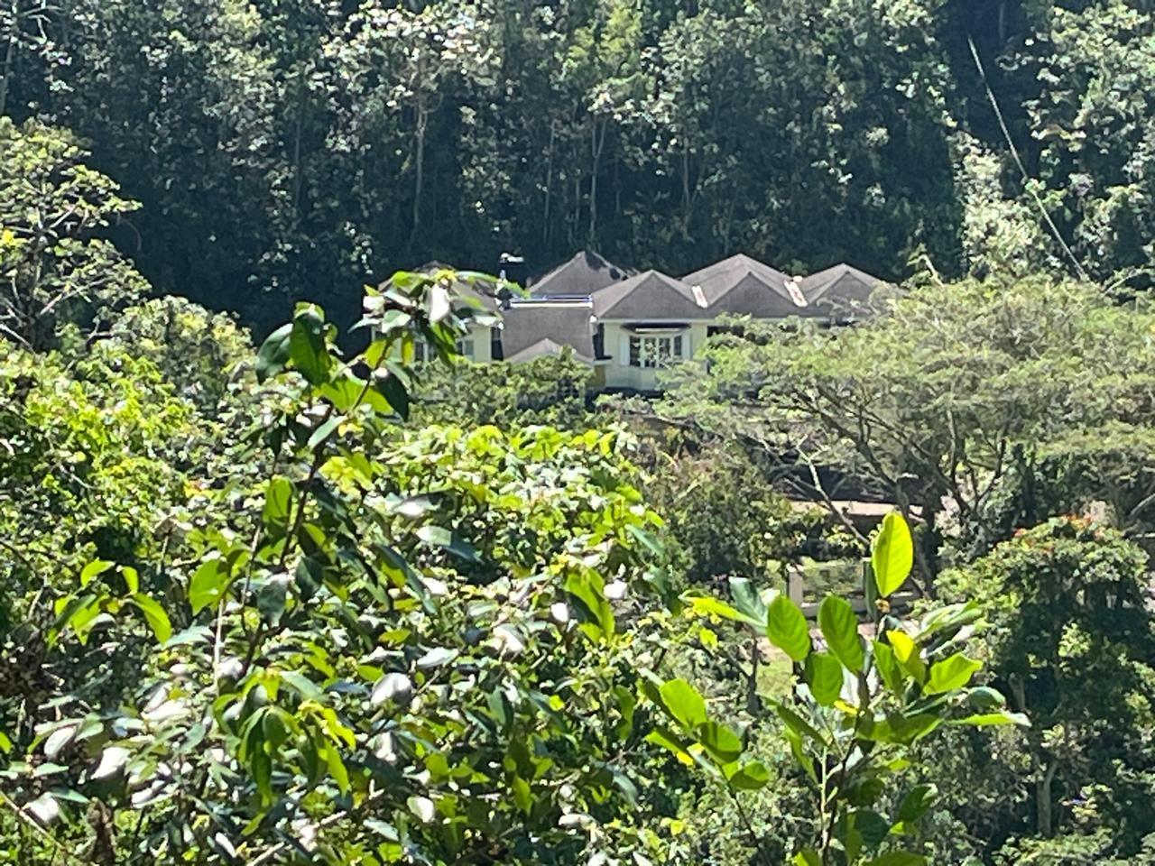 Thirteenth image of 4 Woodland Heights, in Red Hills, St. Andrew, Jamaica - property is For Sale