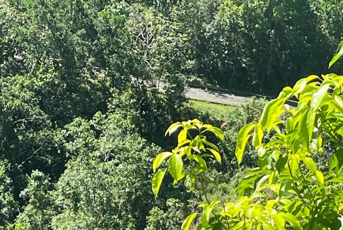 Fifteenth image of 4 Woodland Heights, in Red Hills, St. Andrew, Jamaica - property is For Sale