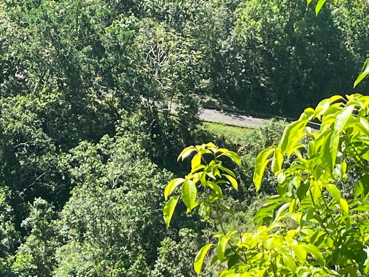 Fifteenth image of 4 Woodland Heights, in Red Hills, St. Andrew, Jamaica - property is For Sale