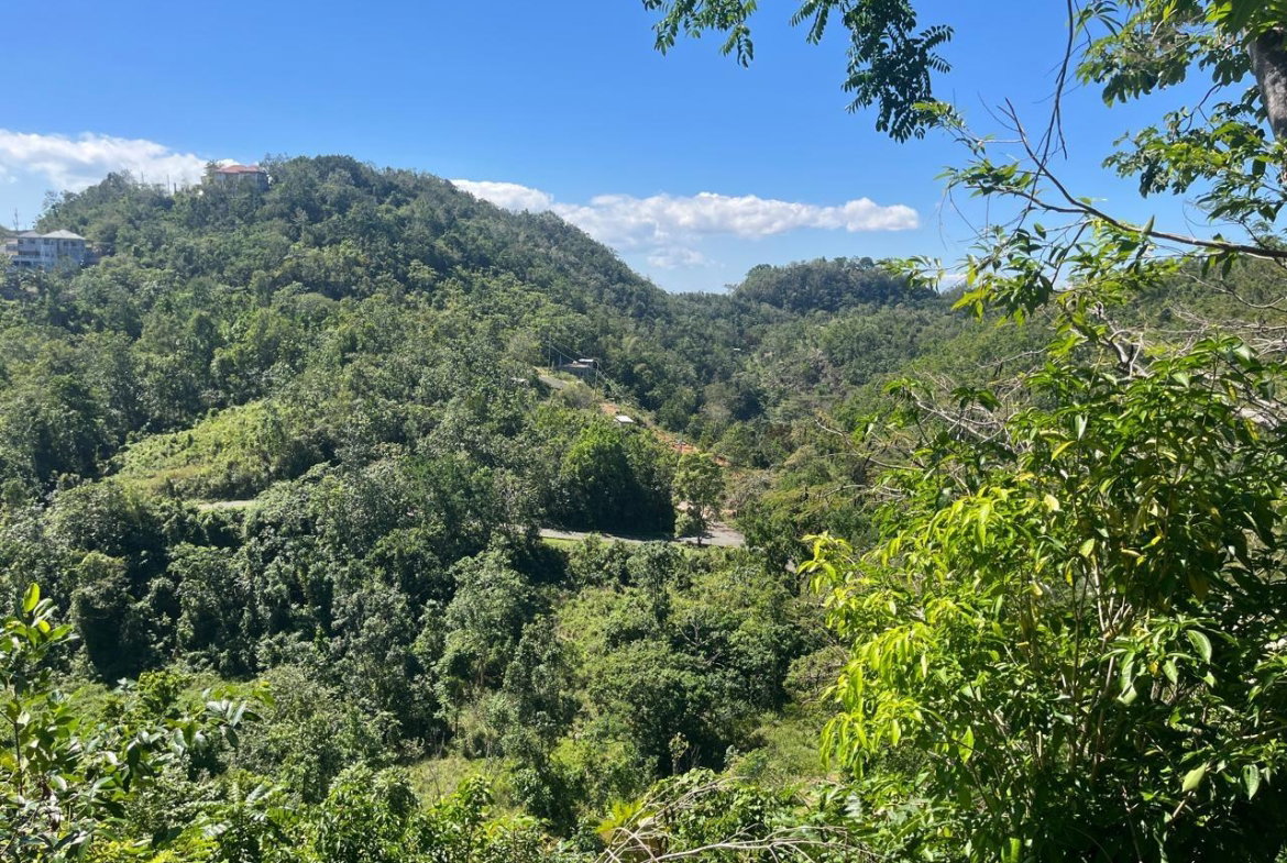 Sixteenth image of 4 Woodland Heights, in Red Hills, St. Andrew, Jamaica - property is For Sale