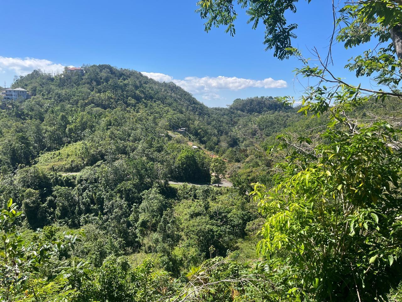 Sixteenth image of 4 Woodland Heights, in Red Hills, St. Andrew, Jamaica - property is For Sale