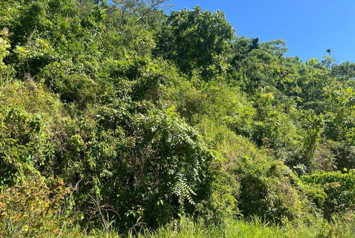 Third image of 4 Woodland Heights, in Red Hills, St. Andrew, Jamaica - property is For Sale