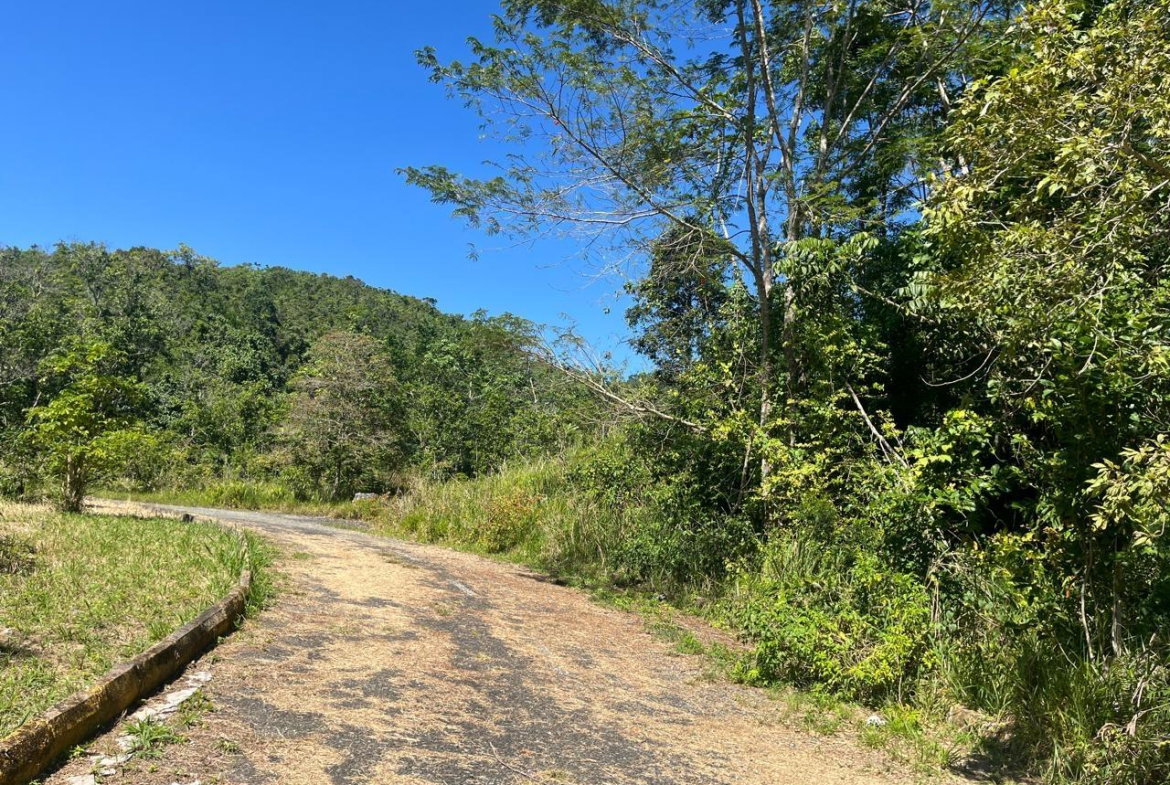 Fourth image of 4 Woodland Heights, in Red Hills, St. Andrew, Jamaica - property is For Sale