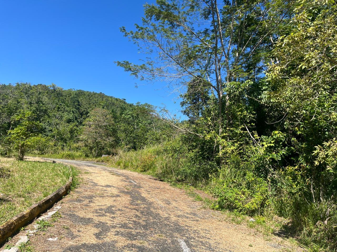 Fourth image of 4 Woodland Heights, in Red Hills, St. Andrew, Jamaica - property is For Sale