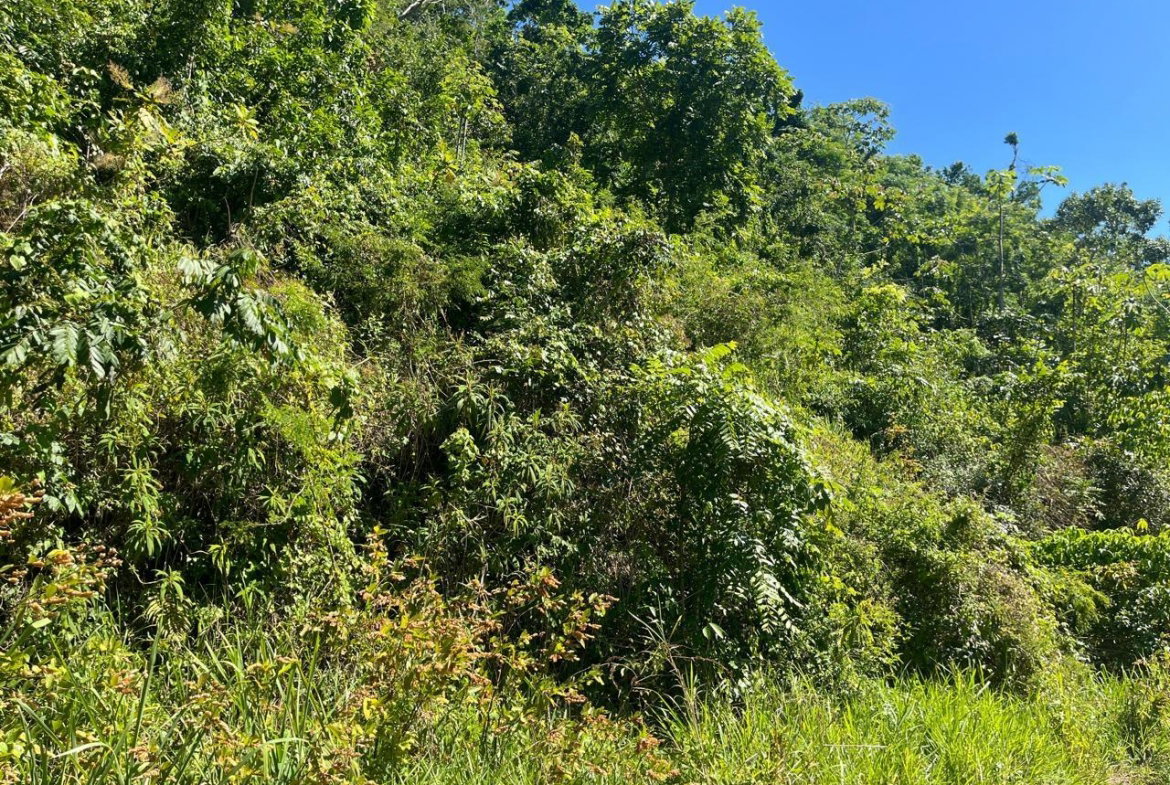 Fifth image of 4 Woodland Heights, in Red Hills, St. Andrew, Jamaica - property is For Sale