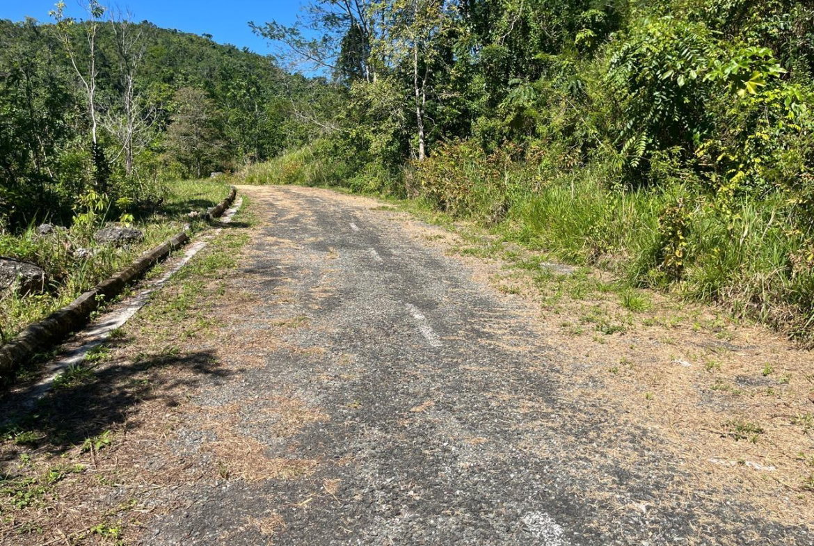 Sixth image of 4 Woodland Heights, in Red Hills, St. Andrew, Jamaica - property is For Sale