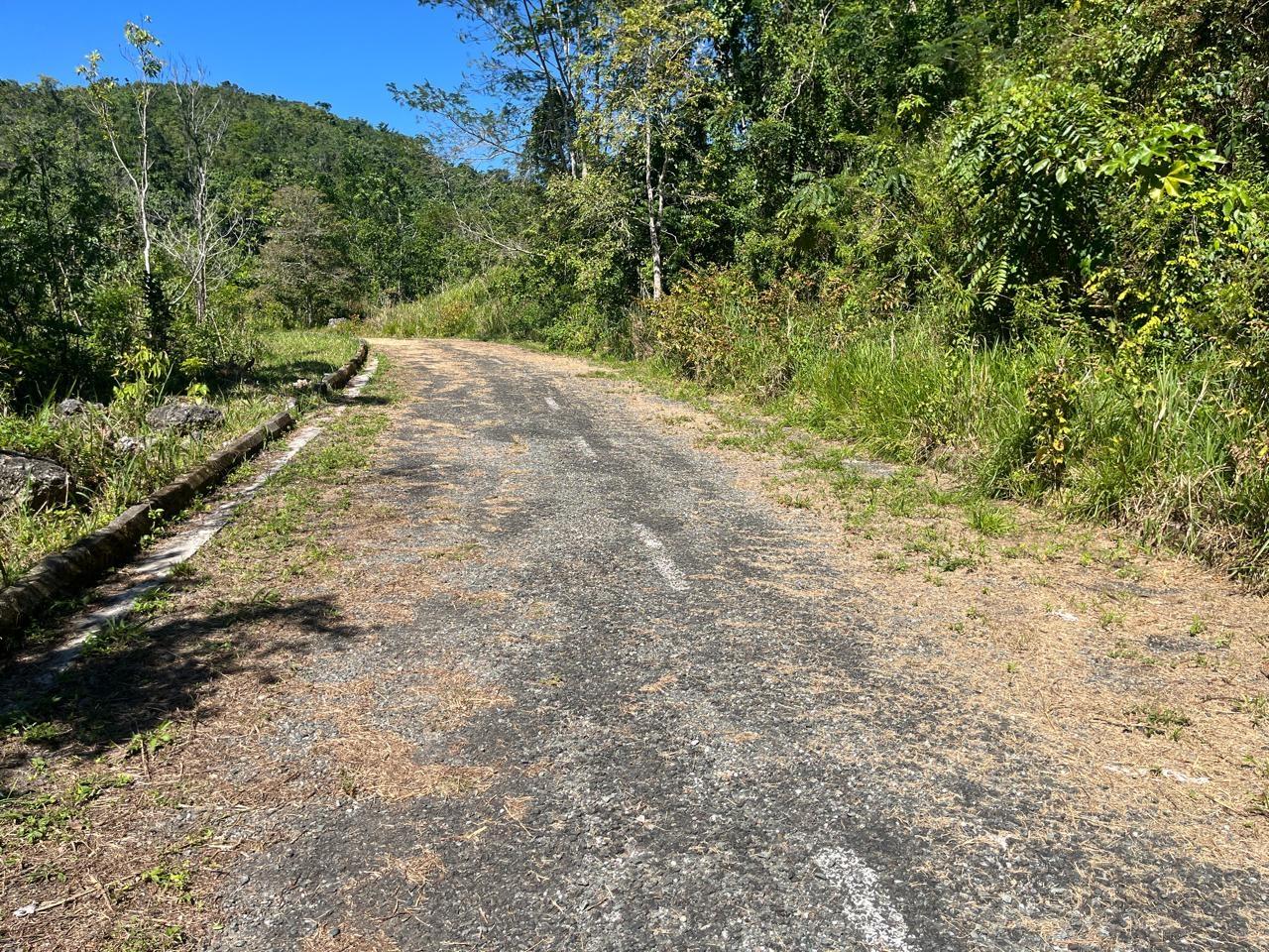 Sixth image of 4 Woodland Heights, in Red Hills, St. Andrew, Jamaica - property is For Sale