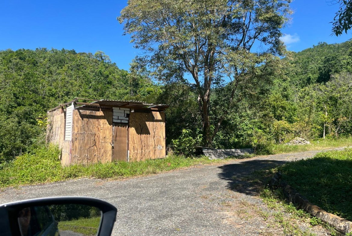 Seventh image of 4 Woodland Heights, in Red Hills, St. Andrew, Jamaica - property is For Sale