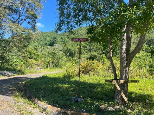 Eighth image of 4 Woodland Heights, in Red Hills, St. Andrew, Jamaica - property is For Sale