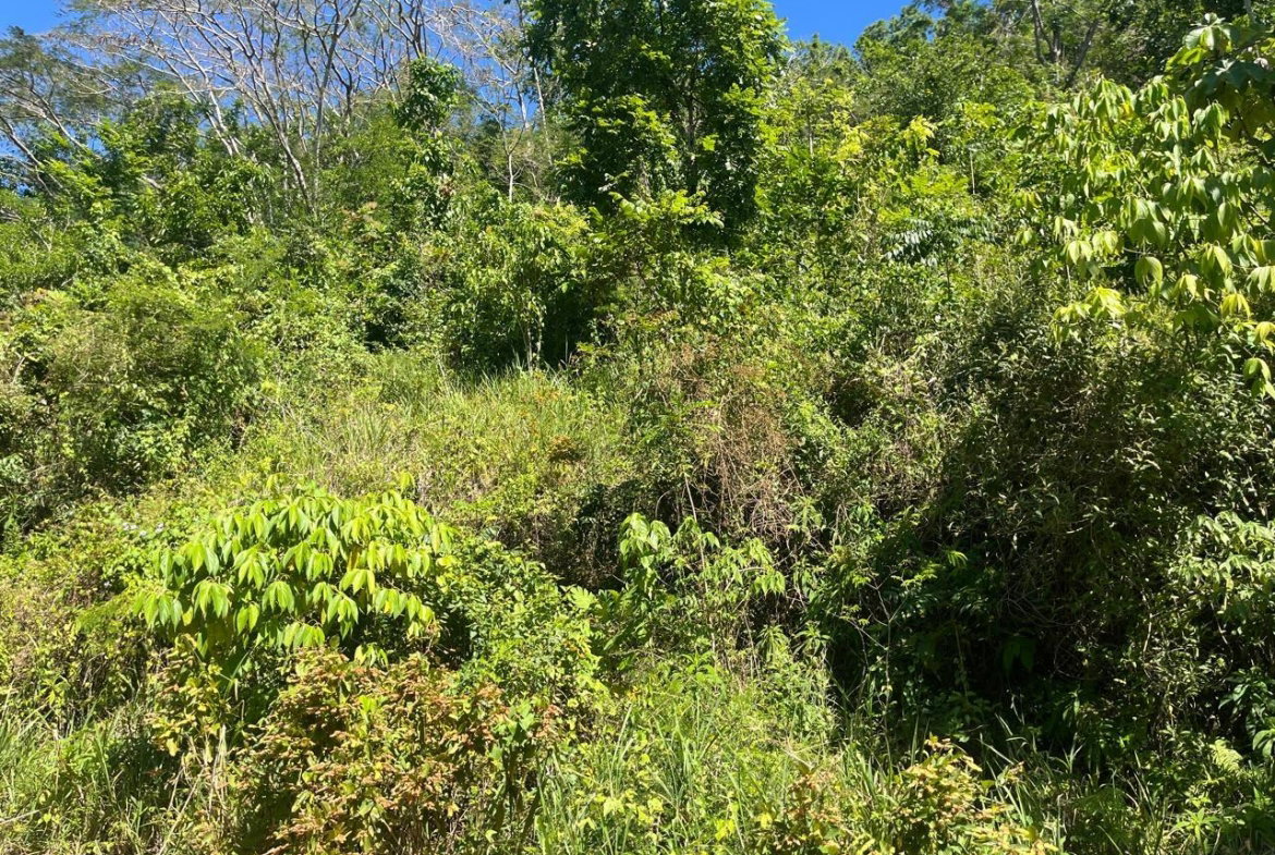 Ninth image of 4 Woodland Heights, in Red Hills, St. Andrew, Jamaica - property is For Sale