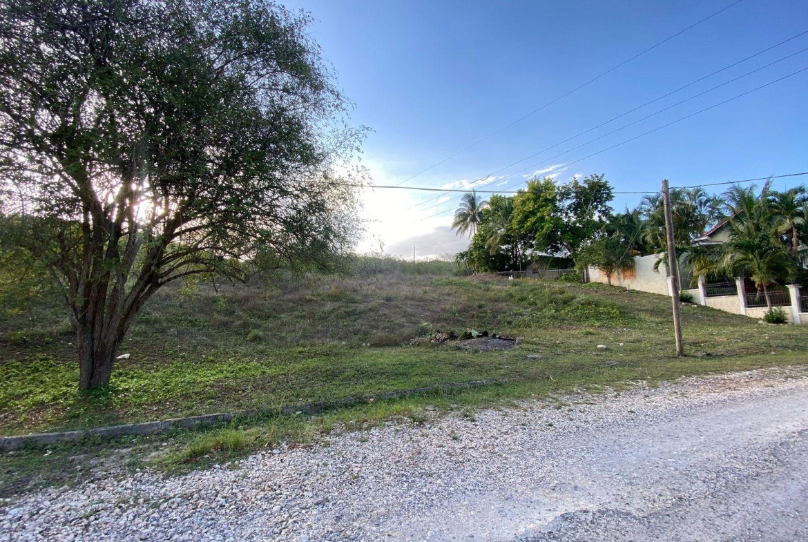 Third image of Lot 28 Sevens Estate in May Pen, Clarendon, Jamaica - property is For Sale