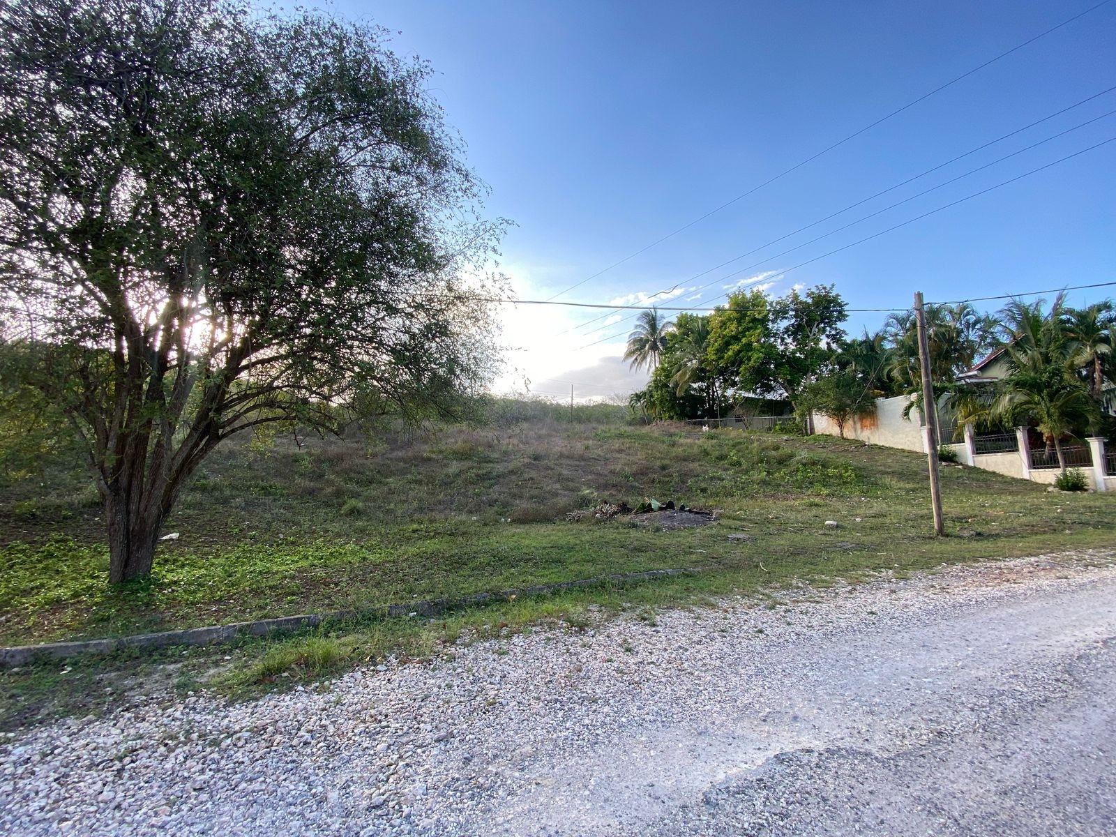 ¼-Acre-Residential-Lot-for-Sale-in-Clarendon-Jamaica-–-Sevens-Estate Third image of Lot 28 Sevens Estate in May Pen, Clarendon, Jamaica - property is For Sale