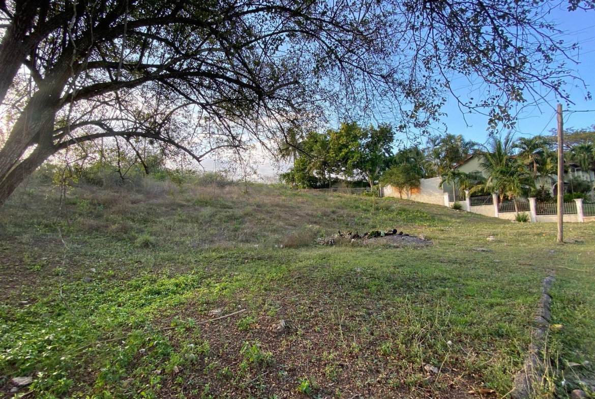 Fourth image of Lot 28 Sevens Estate in May Pen, Clarendon, Jamaica - property is For Sale