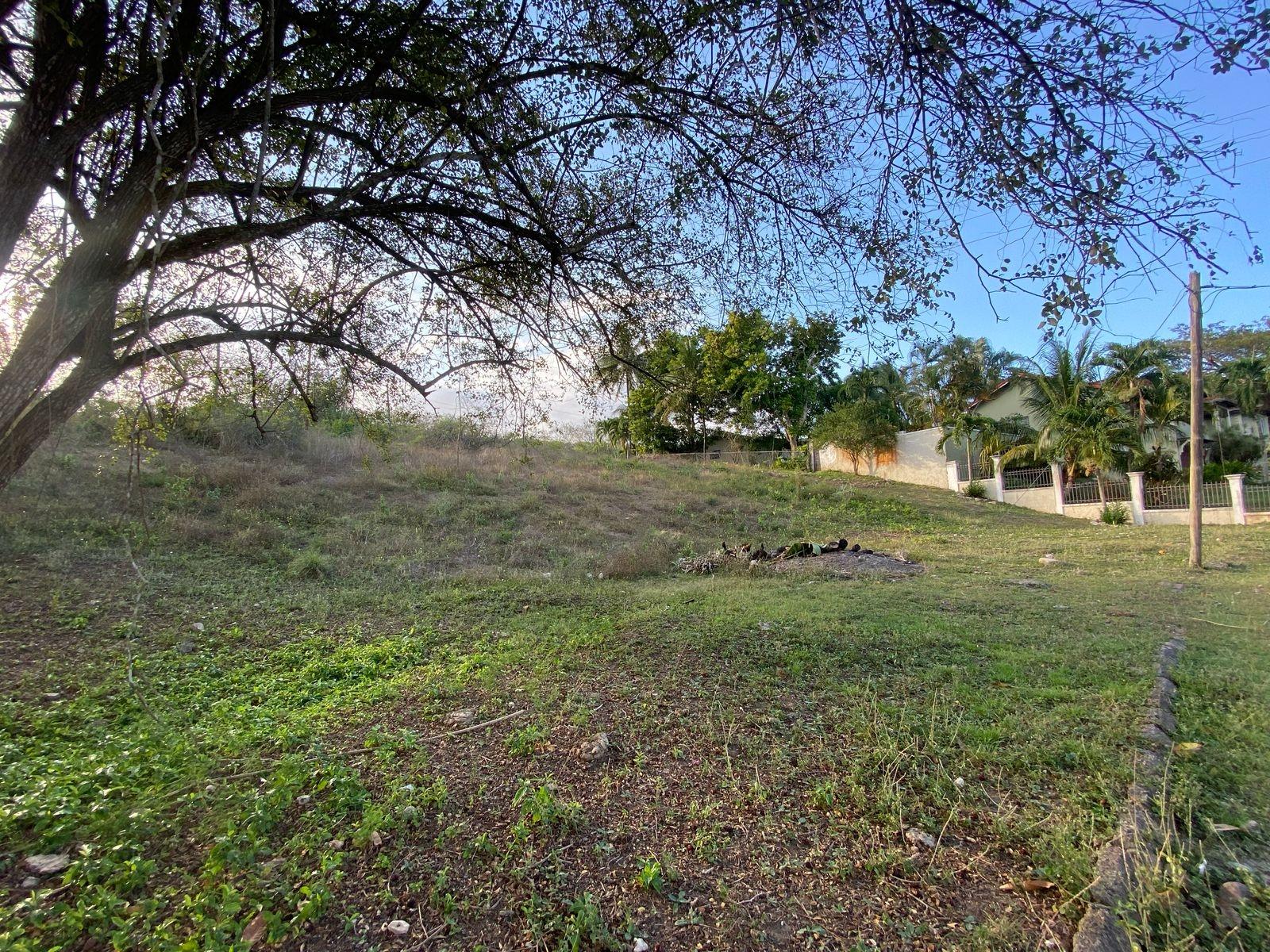 ¼-Acre-Residential-Lot-for-Sale-in-Clarendon-Jamaica-–-Sevens-Estate Fourth image of Lot 28 Sevens Estate in May Pen, Clarendon, Jamaica - property is For Sale