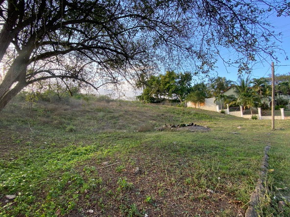 Fourth image of Lot 28 Sevens Estate in May Pen, Clarendon, Jamaica - property is For Sale