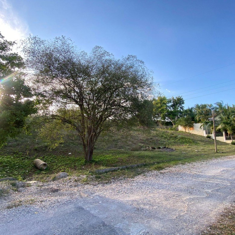 First image of Lot 28 Sevens Estate in May Pen, Clarendon, Jamaica - property is For Sale