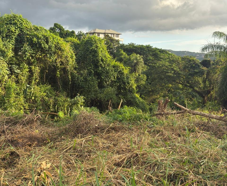 Second image of 7b Barbican Heights in Kingston 6, St. Andrew, Jamaica - property is For Sale