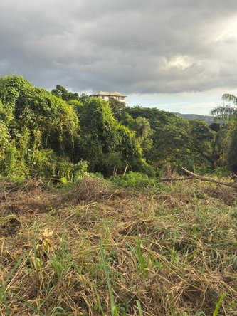 Second image of 7b Barbican Heights in Kingston 6, St. Andrew, Jamaica - property is For Sale