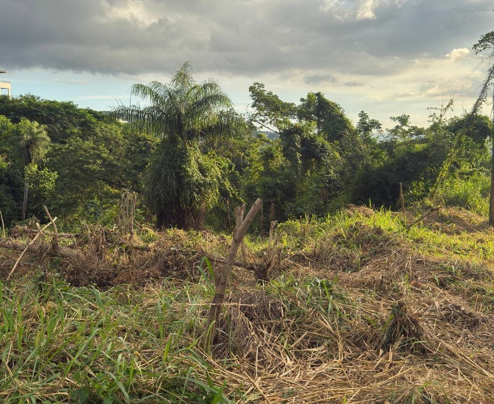 Fifth image of 7b Barbican Heights in Kingston 6, St. Andrew, Jamaica - property is For Sale