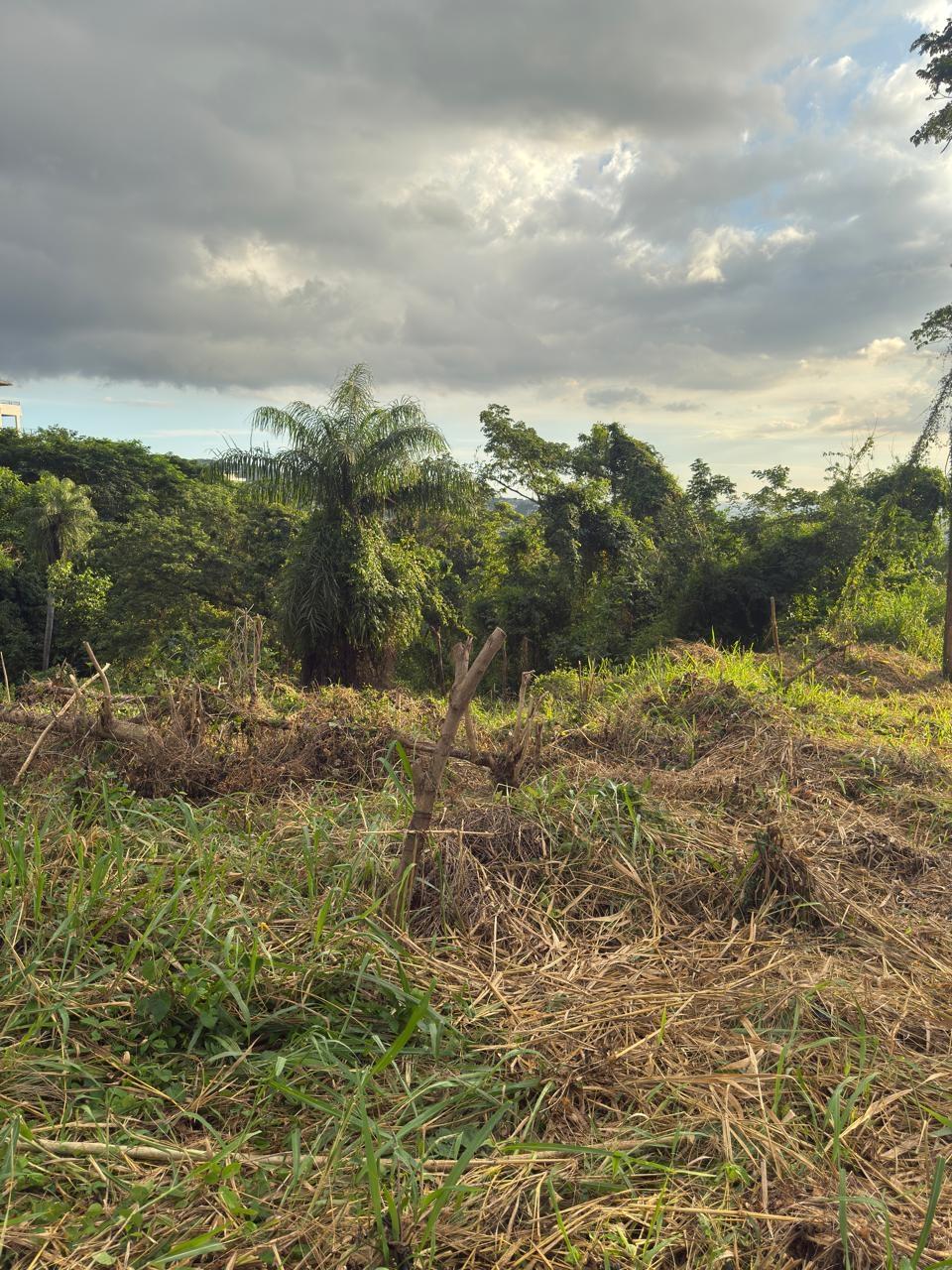 Fifth image of 7b Barbican Heights in Kingston 6, St. Andrew, Jamaica - property is For Sale